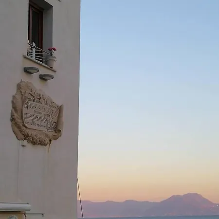 Zia Amalia *